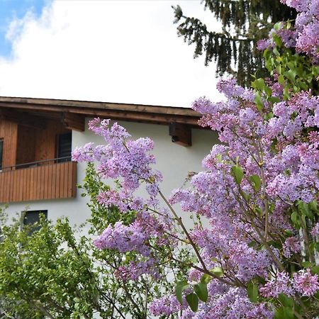 Ferienwohnung Tgesa Zundregn Savognin Exterior foto